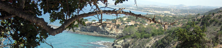 Cyprus banner